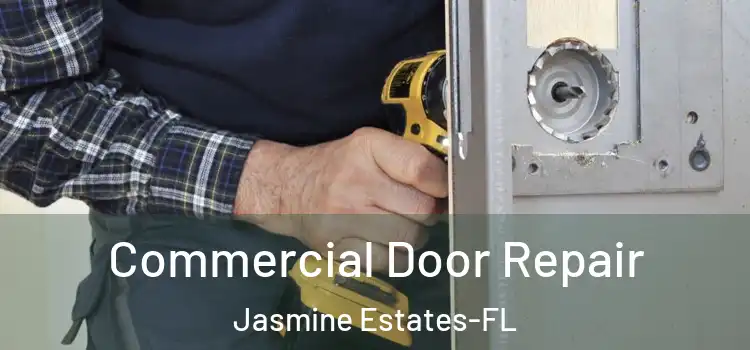  Commercial Door Repair Jasmine Estates-FL