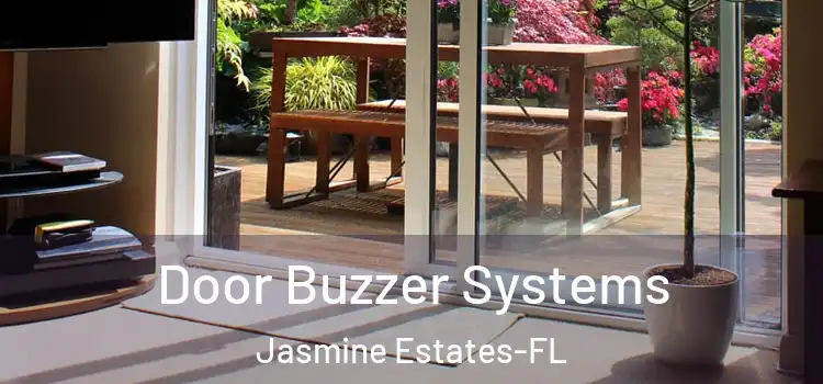 Door Buzzer Systems Jasmine Estates-FL