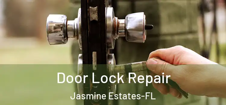 Door Lock Repair Jasmine Estates-FL