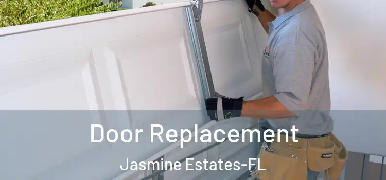  Door Replacement Jasmine Estates-FL