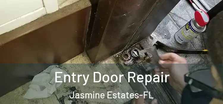  Entry Door Repair Jasmine Estates-FL