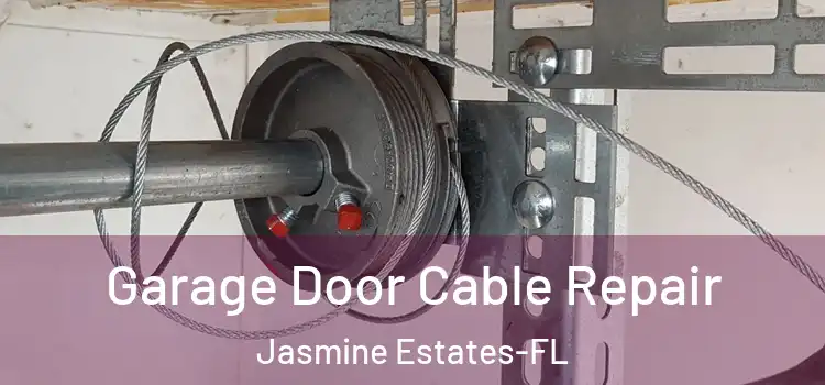  Garage Door Cable Repair Jasmine Estates-FL