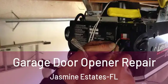  Garage Door Opener Repair Jasmine Estates-FL