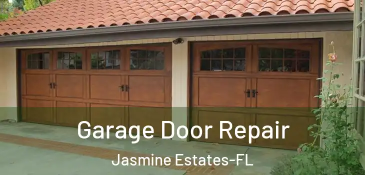  Garage Door Repair Jasmine Estates-FL