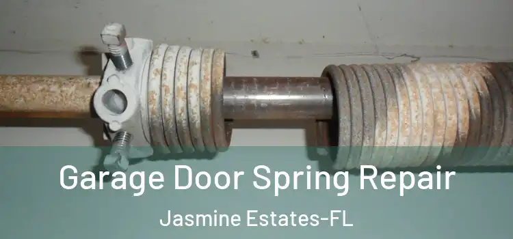  Garage Door Spring Repair Jasmine Estates-FL