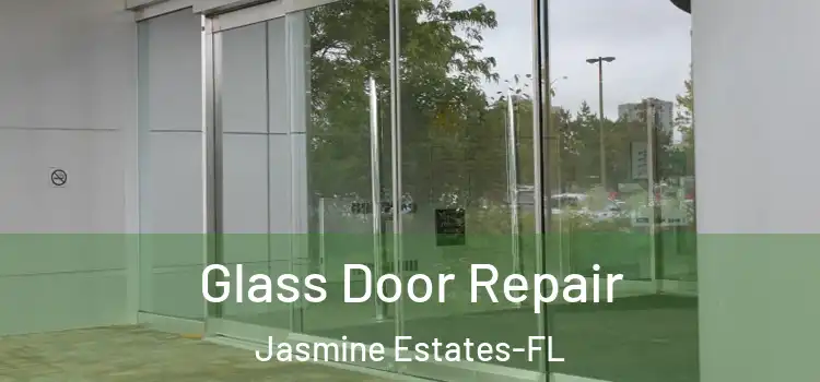  Glass Door Repair Jasmine Estates-FL
