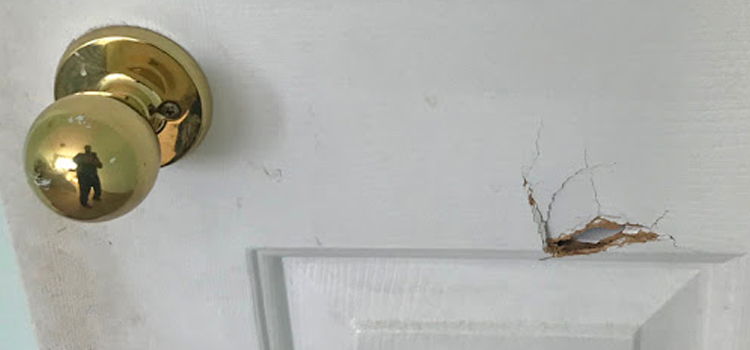 interior door hole repair Jasmine Estates