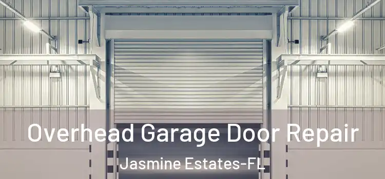  Overhead Garage Door Repair Jasmine Estates-FL