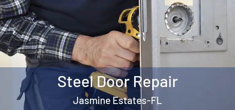  Steel Door Repair Jasmine Estates-FL