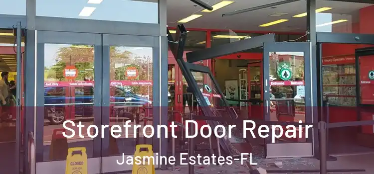  Storefront Door Repair Jasmine Estates-FL
